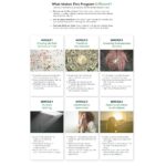 Financial Mastery Vault by Teal Swan