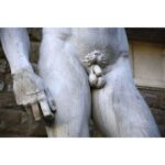 [Member Access] The EROS Program – Sexual Health for Men, Fix ED & PE (Big D Version) by PrimalThrive - Image 2